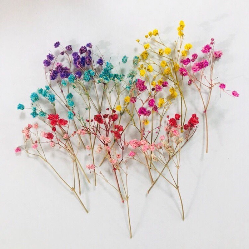 Cành hoa baby khô-Hoa khô, Bông bi, dùng ép sổ, trang trí thiệp, quà tặng, decor...