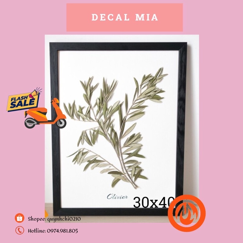 Khung ảnh 30x40 treo tường mặt kính giá rẻ