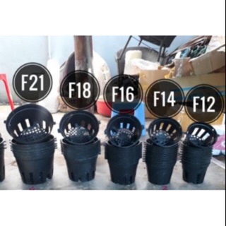 20 chậu lan đen F18 kèm 20 móc treo kẽm đẹp