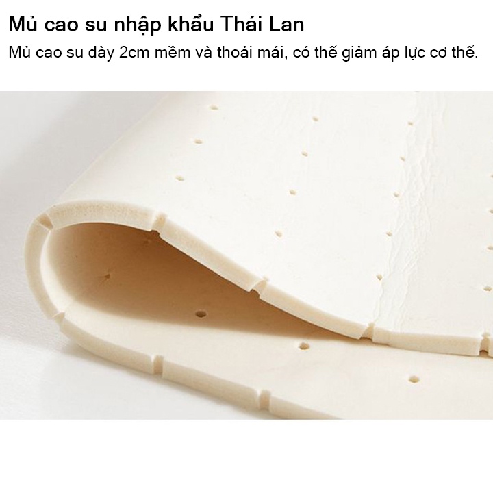 Giường Sofa Thông Minh - Giường Gấp Thành Ghế Sofa Khung Thép Chịu Lực : Kích thước R1m30 x D1m90
