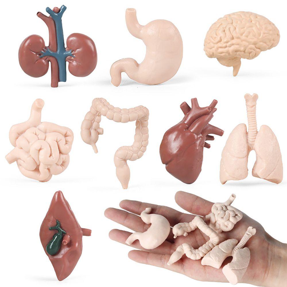 Bộ 8 Mô Hình Đàn Organ Giáo Dục Sớm Cho Bé