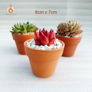Chậu đất nung Bình Dương - Chậu ly có gờ, miệng chậu 8cm, chiều cao 7cm