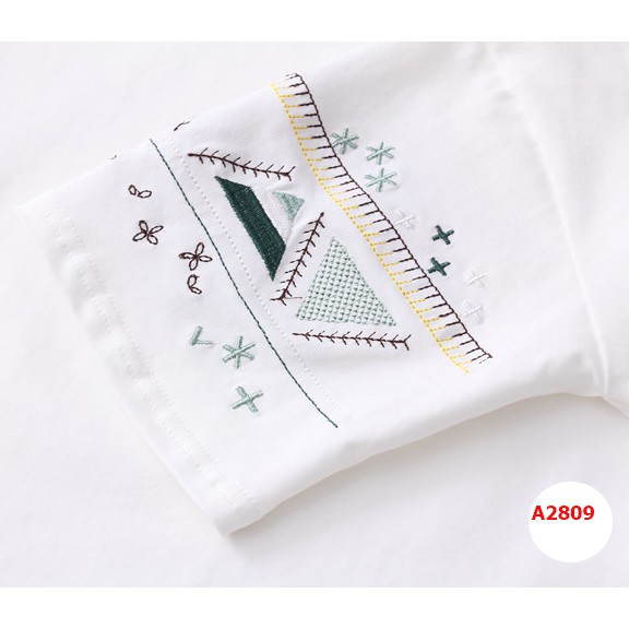 Áo phông nữ phong cách Nhật A2809