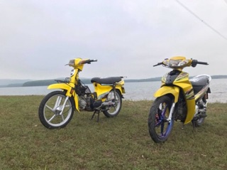 Tem sirius 110 vàng đen crom