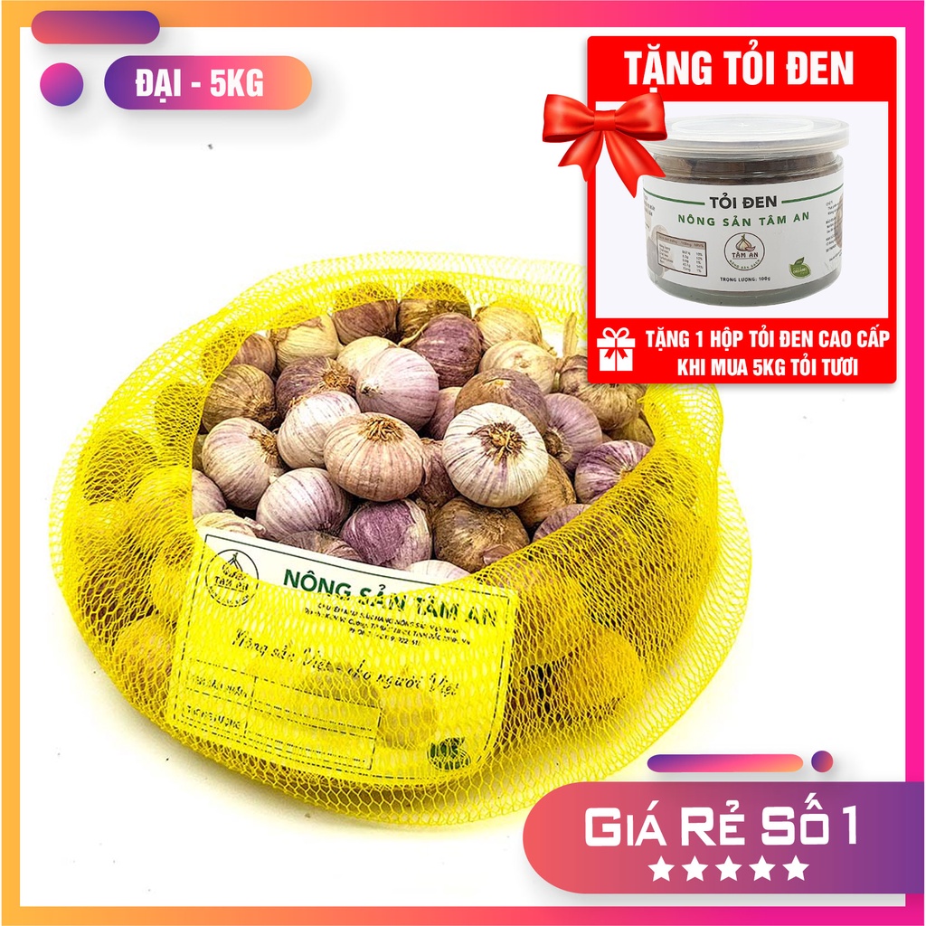 [Mua 5 tặng 1] 5kg tỏi cô đơn loại đại. Dùng để làm tỏi đen. Tặng 1 hộp tỏi đen cao cấp Tâm An.