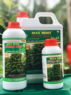 BUNG ĐỌT RA RỄ MAI VÀNG - CAN 5L