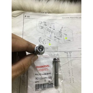 ốc heo dầu sau sh 1 cặp