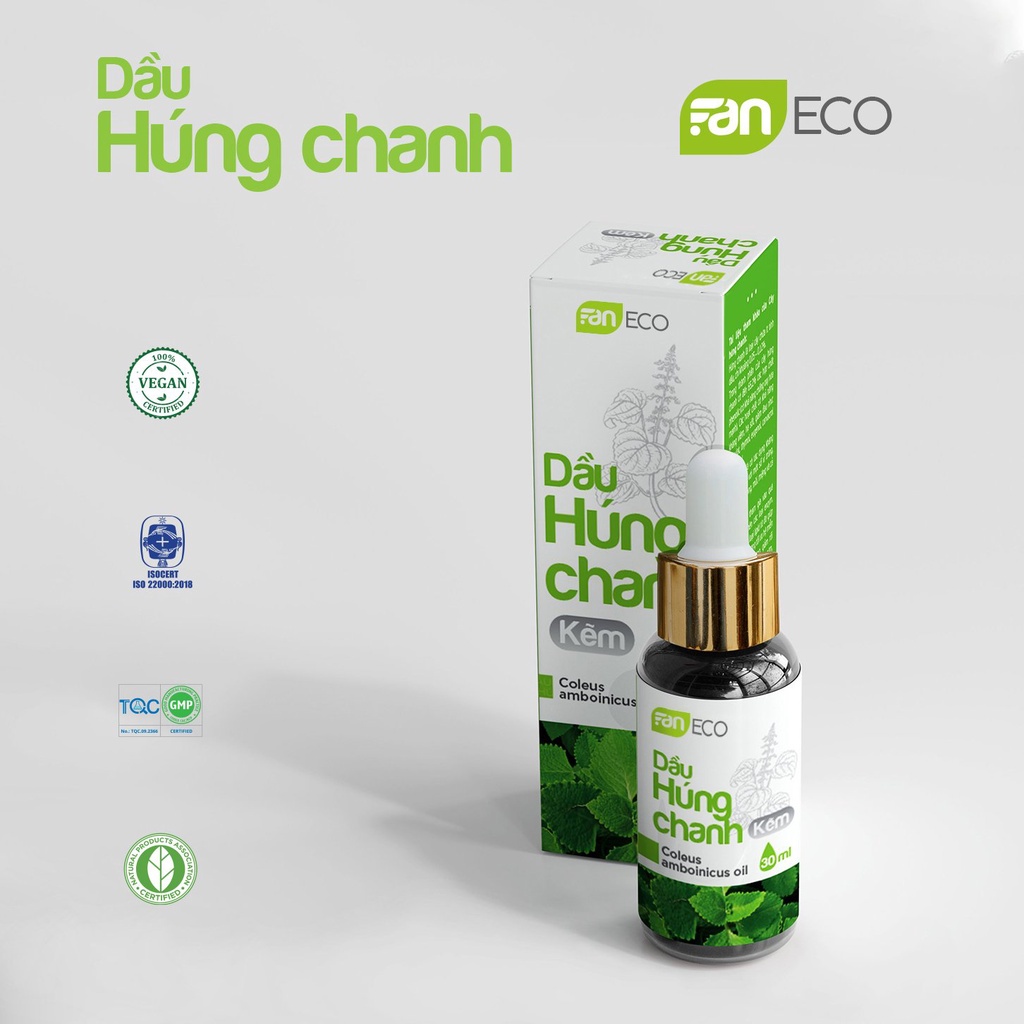 Dầu Húng Chanh Kẽm 30ml - FANECO - FanNutrifood - Helen Store