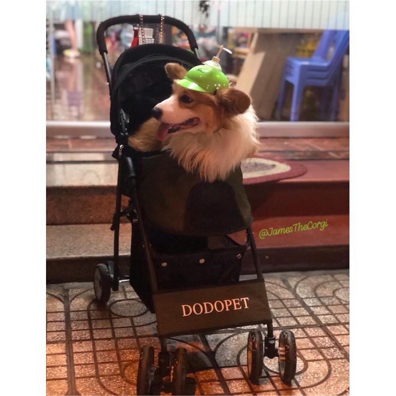 Xe Đẩy Thú Cưng