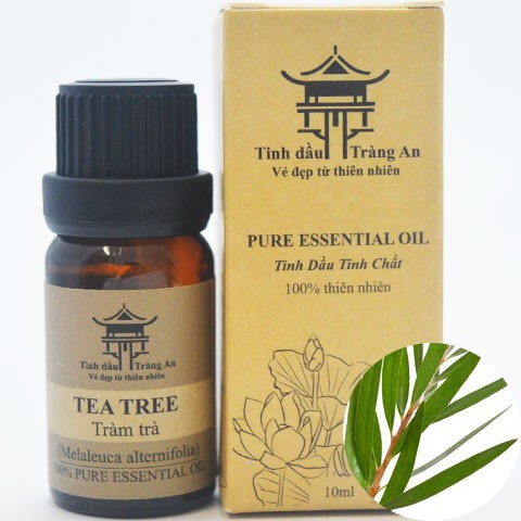 Tinh Dầu Tràm Trà Tea Tree | 100% Thiên Nhiên Nguyên Chất | Khử Mùi, Thơm Phòng, Giảm Stress