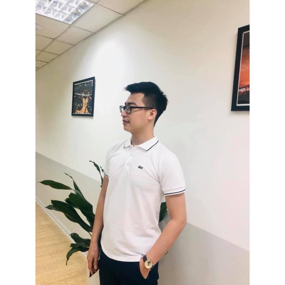 Áo Phông Nam Cá sấu / Áo Thun Nam Cá Sấu Có Cổ Hàng Xuất Cotton thiết kế sang trọng GRAMEN06 | BigBuy360 - bigbuy360.vn