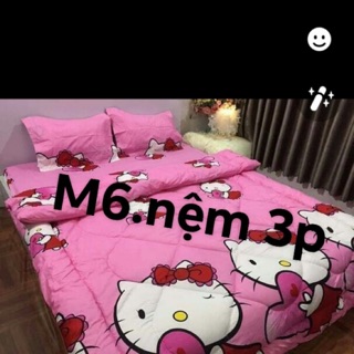 Set chăn ga