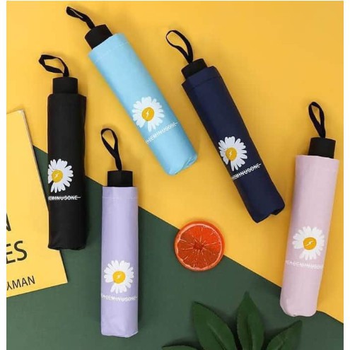 Ô Hoa Cúc, Dù Hoa Cúc Gấp Gọn