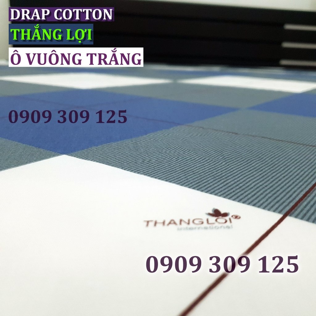 bộ ga Thắng lợi cotton, ga giường IN LOGO (4 món) (mẫu ô xanh xám) ảnh thật