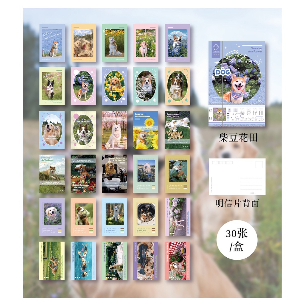 Postcard, thiệp chúc mừng những chú cún