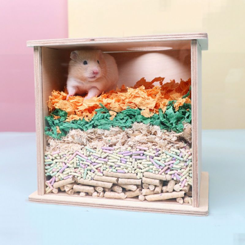 Hộp đào bới khám phá cho hamster và thú cưng nhỏ