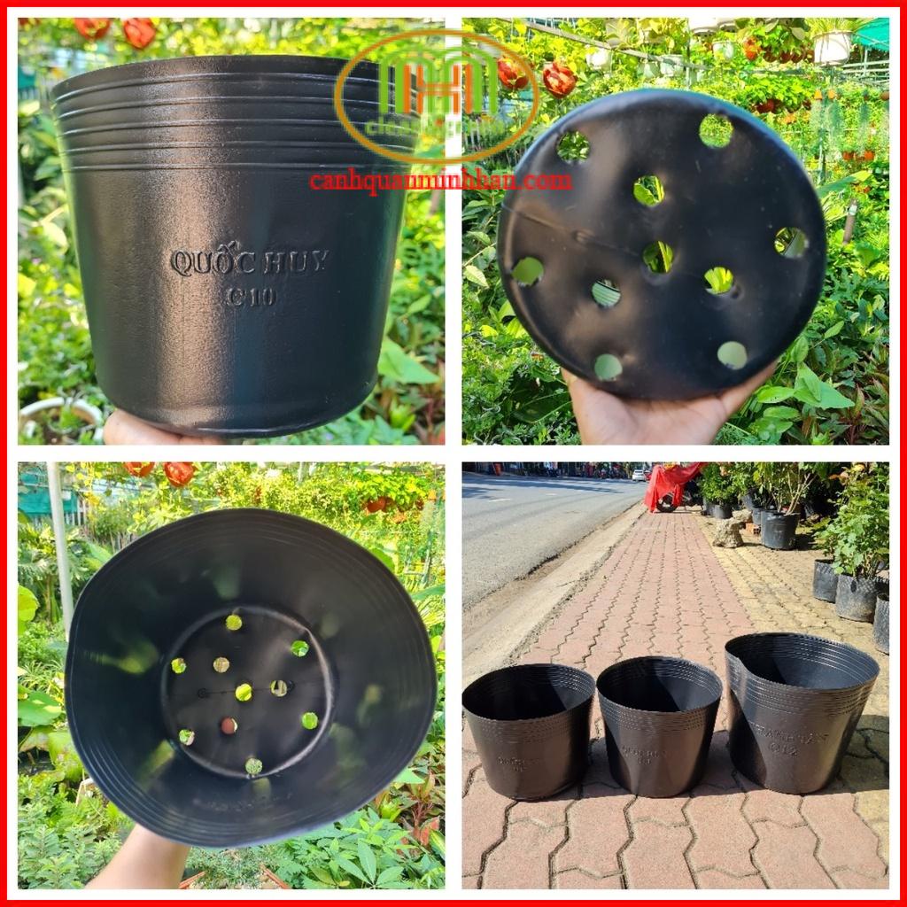 Chậu nhưạ đen C10 ươm cây trồng cây hoa Tết 25x20cm combo 10 cái Minh Hân Garden