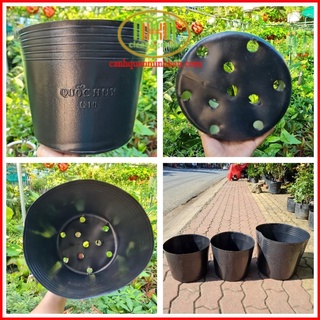 Chậu nhưạ đen C10 trồng cây hoa Tết ươm hạt giồng trồng cây con 25x20cm combo 50 cái Minh Hân Garden