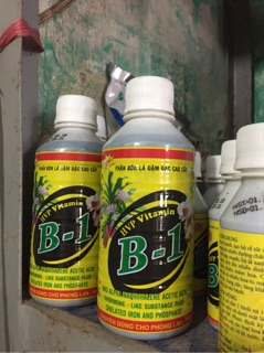 Phân bón lá vitamin B1 100ml-250ml