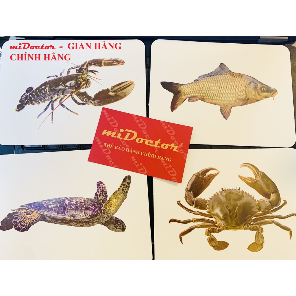 Bộ Thẻ Học Thông Minh 15 Chủ Đề Loại To (FLASH CARD) - Chính hãng miDoctor