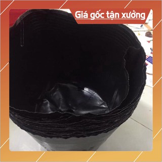 💝♥️ Bầu ươm cây giống size 30*28(32 cái/kg) 💖💘