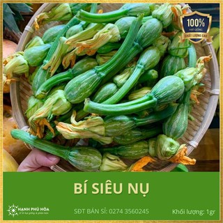 Hạt Giống Bí Siêu Nụ Sài Gòn Xanh- 1 gram-Tỉ Lệ Nảy Mầm Cao, Thu Hoạch Quanh Năm, Ăn Ngon Ngọt, Tốt Cho Sức Khỏe