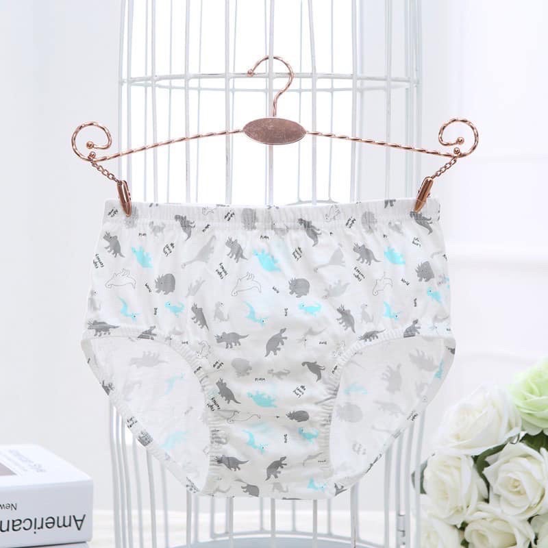 Set 5 Quần Lót Trẻ Em - Mẫu Khủng Long Faddy Kids