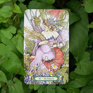 Bộ Bài Mystic Faerie Tarot Kit (Guu Tarot Shop)