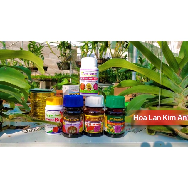 Phân thuốc combo 5 kích hoa