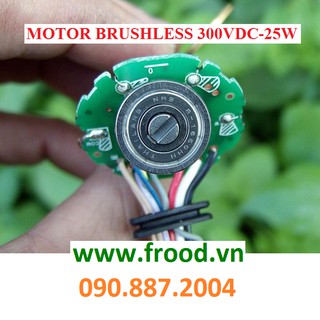 Động cơ từ Brushless phát điện 3 pha 25w