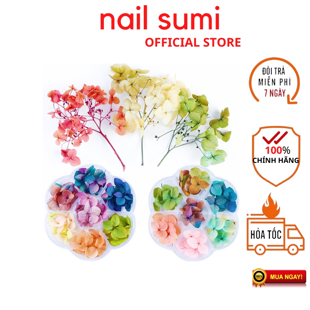 Hoa khô nail trang trí móng cánh to 12 màu