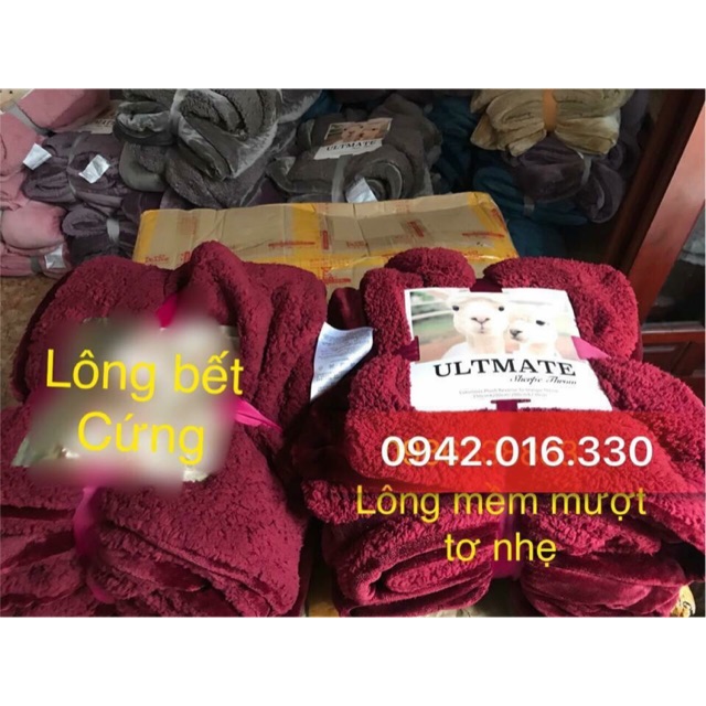 Chăn lông cừu Ultimate 2 cừu khuyến mại