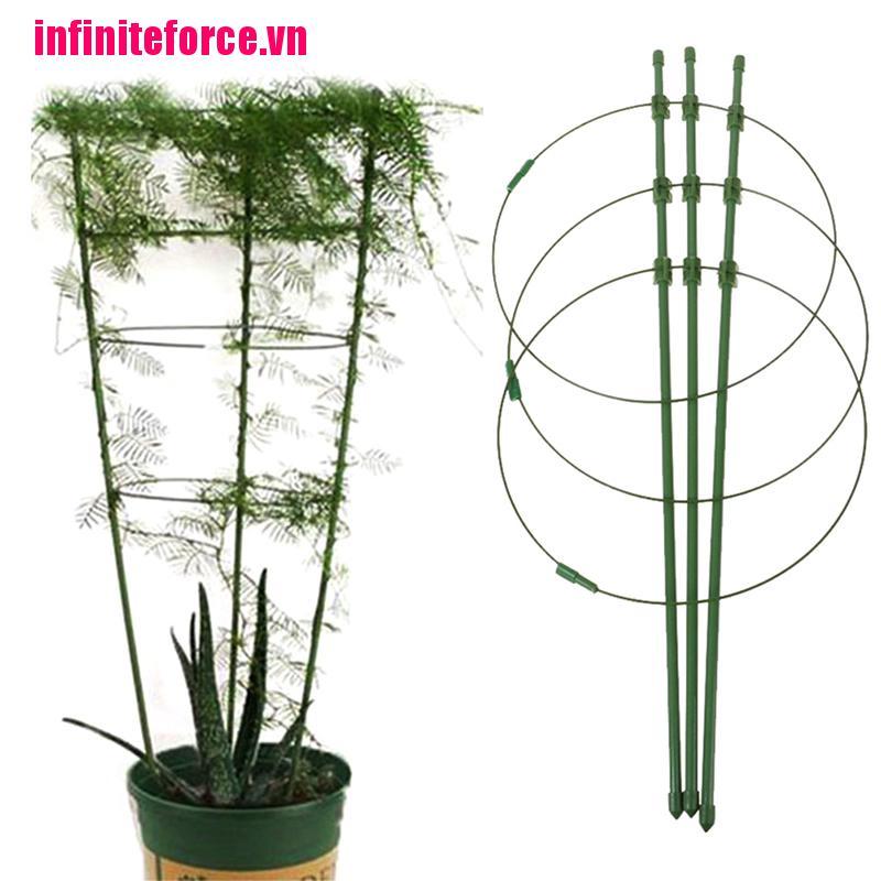 Bộ Dây Thừng Hỗ Trợ Trồng Cây Leo Kích Thước 1 45cm