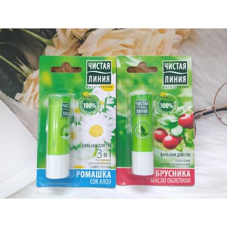 Son dưỡng môi PURE LINE hoa cúc chống nẻ, giữ ẩm, làm mềm môi