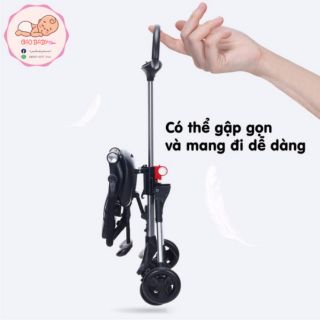 Xe đảo chiều du lịch TOMORROW