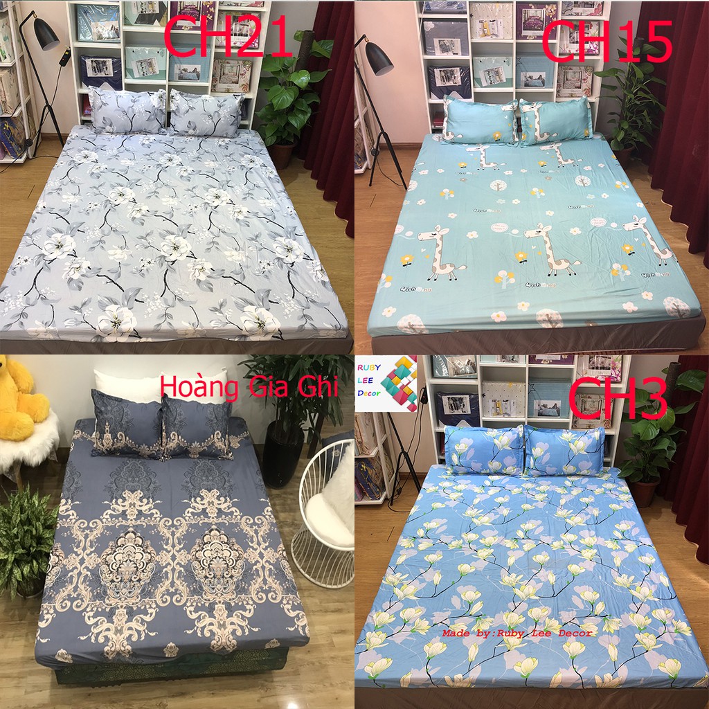 Set ga ( bọc nệm) + 2 vỏ gối cotton poly