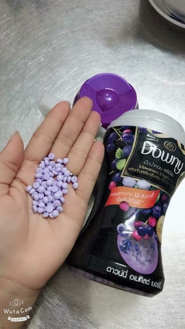 Viên xả vải downy Thái lan