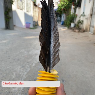 Cầu đá lông gà hàng tuyển Hữu Nghị HT50 (Bộ 2 quả)