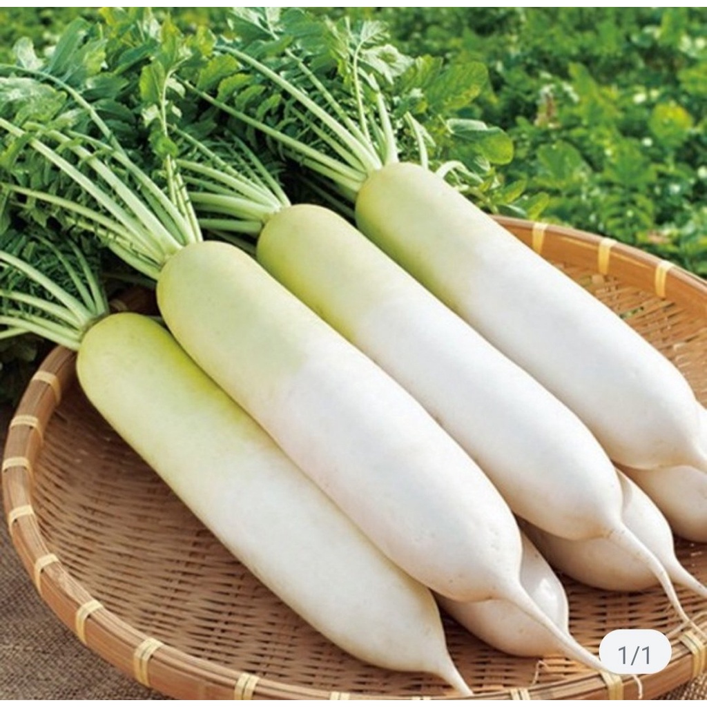 Hạt Giống Củ Cải Trắng Củ To, Năng Suất Cao, Dễ Trồng- Gói 25Gr