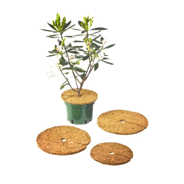 Tấm xơ dừa tròn 36cm - Coir mulch mat