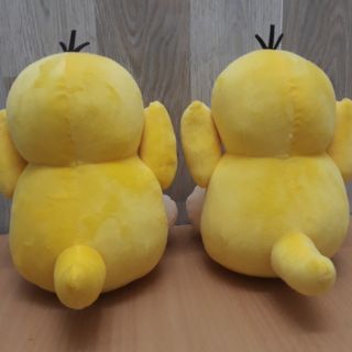 Vịt Koduck- vịt bối rối