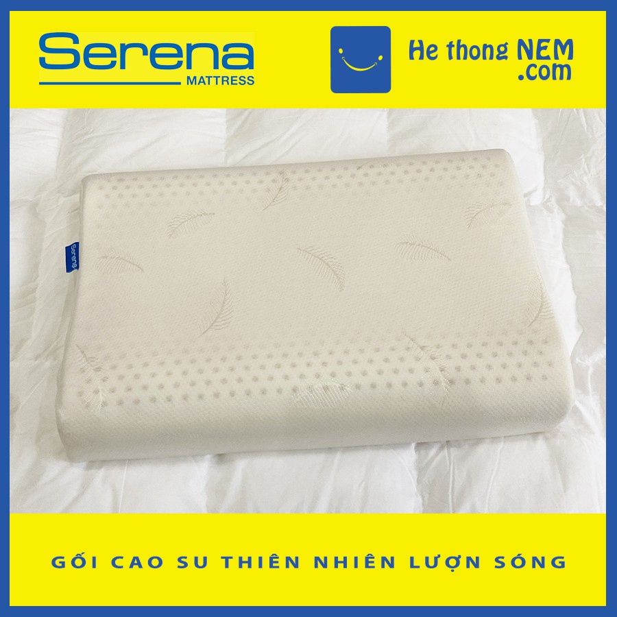 Gối nằm ngủ cao su non lượn sóng SERENA cao cấp - gối cao su non cho người lớn ngủ ngon - Hệ Thống Nệm