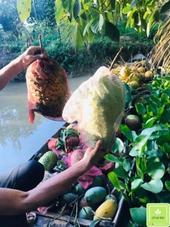 Trà Mãng Cầu Thơm Ngon