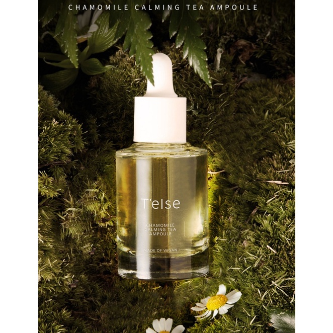 Dòng dưỡng hoa cúc thuần chay TELSE CHAMOMILE CALMING TEA