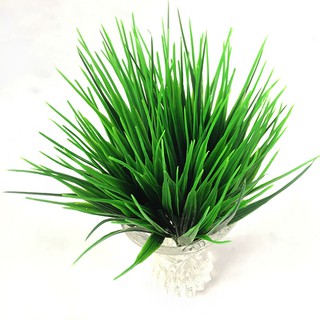 Cành mạ non( nhựa pvc) trang trí decor
