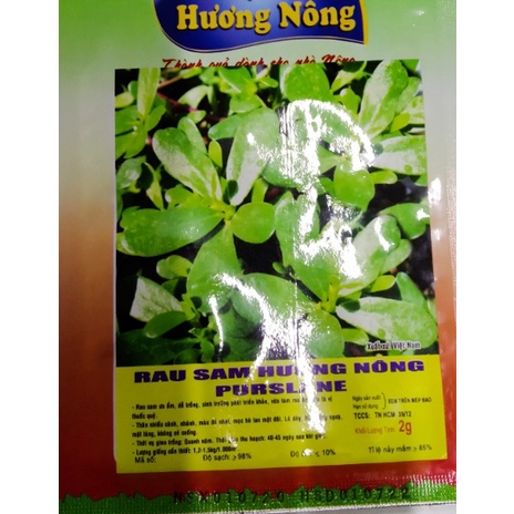 Phân Bón Lá Cao Cấp Đầu Trâu Spray 3 500ml/Chai- Chuyên Hoa, Cây Kiểng, Dưỡng Hoa Lâu Tàn- Dạng Xịt, Pha Loãng
