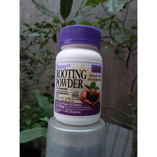 Bột siêu kích rễ cho cây trồng rooting powder hộp 35g