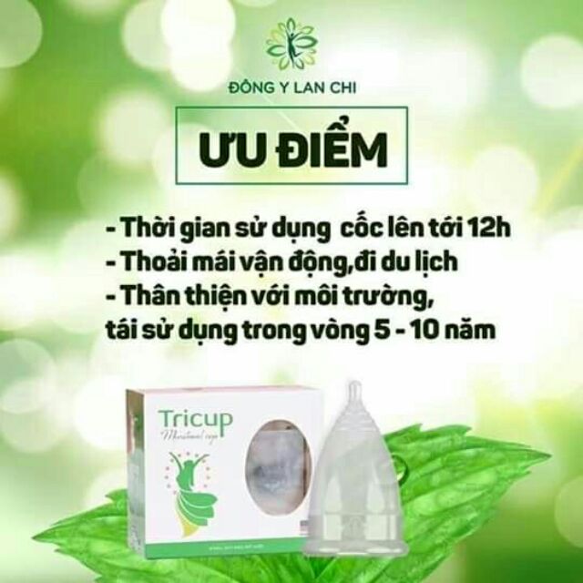 CỐC NGUYỆT SAN TRICUP