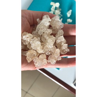 Tuyết yến vân nam 100g