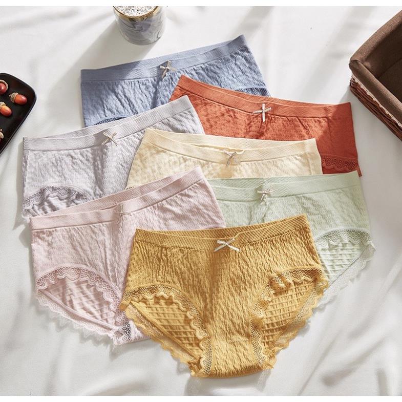Quần Lót Nữ Cotton Kiểu Chip Nhăn Độc Đáo Cạp Đính Nơ Co Giãn 4 Chiều 5566 - LADY